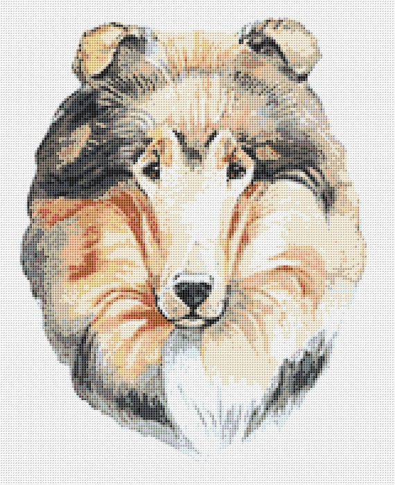 Border Collie Cross Stitch Pattern 7 Instant PDF Download Dog ...