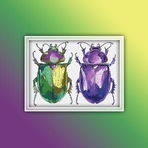 May include: Two colourful beetles with iridescent wings. One beetle is green and yellow, the other is purple and blue.