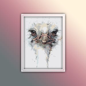 May include: A framed cross-stitch artwork depicting an ostrich's head. The piece uses brown, grey, and white threads to create a detailed image. The ostrich has dark brown eyes, and the frame is white. The artwork is a close-up view.
