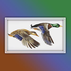 Duck Mallard Cross Stitch Pattern 1  Duck Watercolor Cross Stitch Pattern - Bird Cross Stitch Pattern