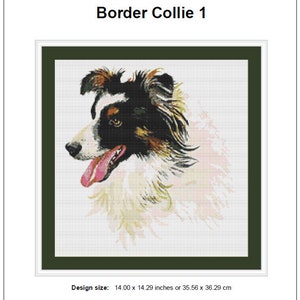 Op de afbeelding: Borduurpatroon van een zwart-witte Border Collie met bruine aftekeningen. De tong van de hond steekt uit. Het patroon is op een witte achtergrond met een groene rand. Ontwerpmaat: 35,56 x 36,29 cm of 14,00 x 14,29 inch.