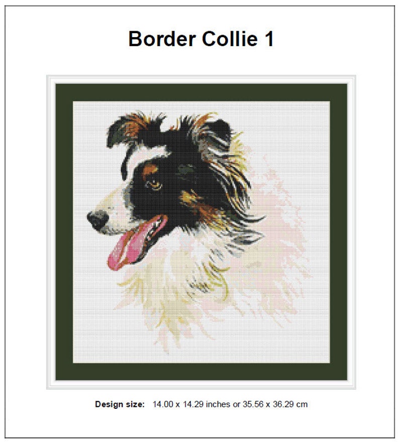 Op de afbeelding: Borduurpatroon van een zwart-witte Border Collie met bruine aftekeningen. De tong van de hond steekt uit. Het patroon is op een witte achtergrond met een groene rand. Ontwerpmaat: 35,56 x 36,29 cm of 14,00 x 14,29 inch.