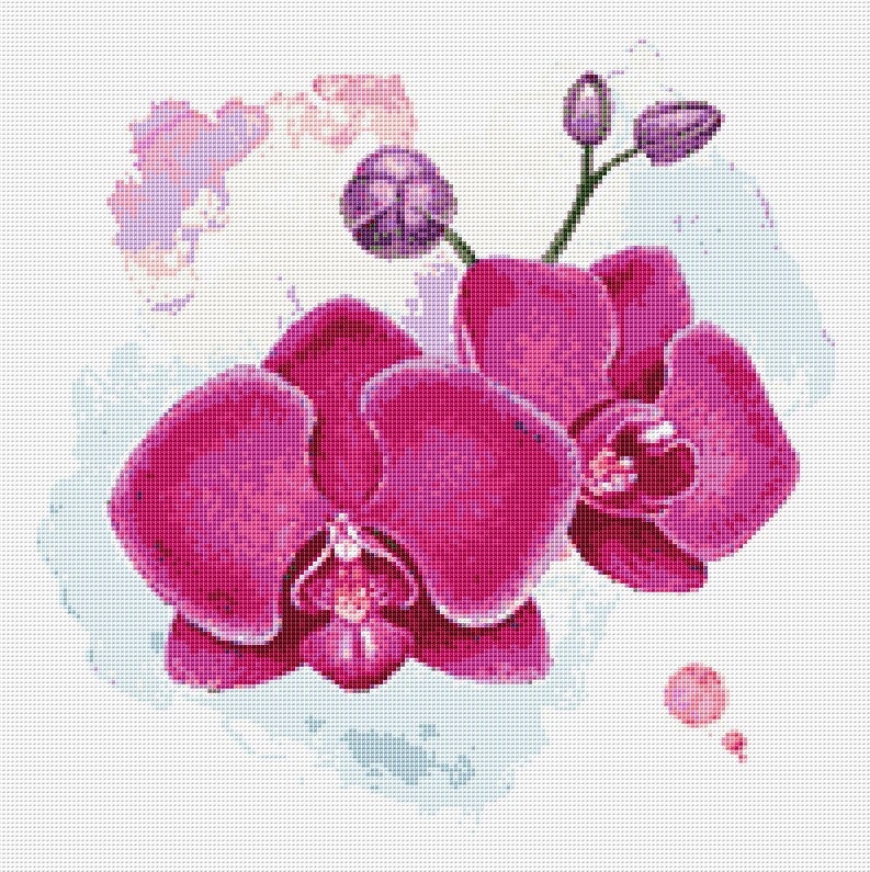 Orchids Cross Stitch Pattern 1 Instant PDF Download Flowers - Etsy UK