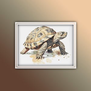 May include: A brown and tan tortoise with a patterned shell is walking on a white background with watercolour splatter accents.