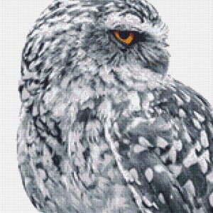 Owl Cross Stitch Pattern 3 Instant PDF Download Owl | Etsy