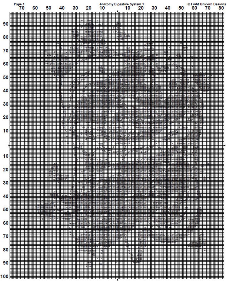 Anatomy Digestive System Cross Stitch Pattern 2 Instant PDF Download ...