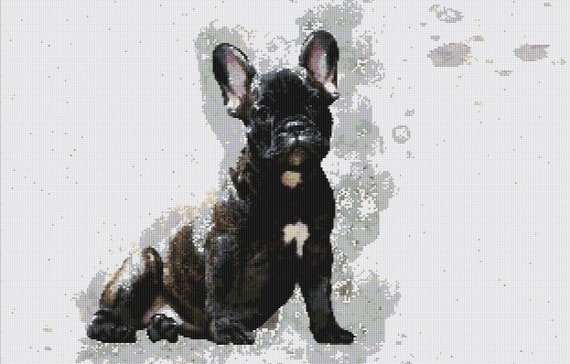 Bulldog Bull Dog Puppy Counted Cross Stitch Kit 8/" x 8/" Free P/&P