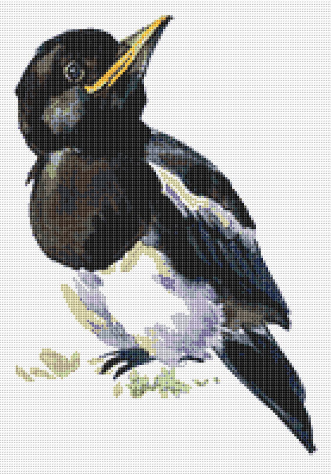 Baby Crow Cross Stitch Pattern 1 Instant PDF Download Raven Etsy