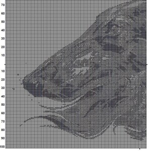 Op de afbeelding: Een zwart-wit pixel art ontwerp van een vogel in de vlucht. De vogel bevindt zich in het midden van de afbeelding en kijkt naar rechts. De achtergrond is een raster van zwarte en witte vierkanten.