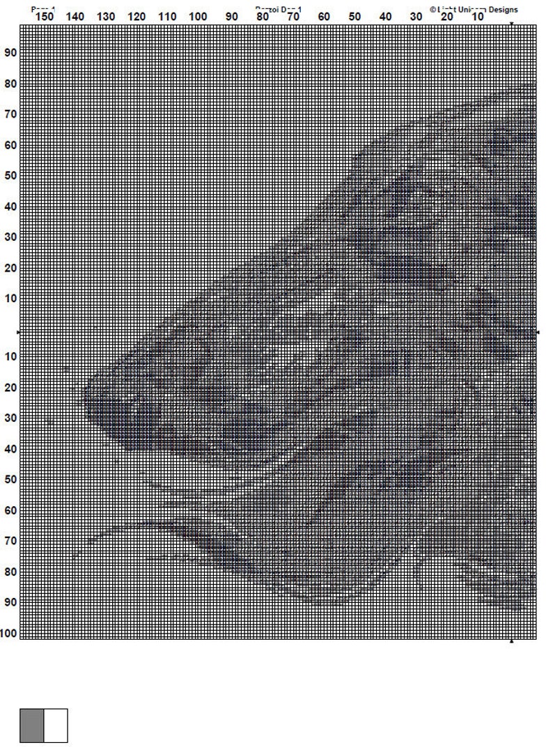 Op de afbeelding: Een zwart-wit pixel art ontwerp van een vogel in de vlucht. De vogel bevindt zich in het midden van de afbeelding en kijkt naar rechts. De achtergrond is een raster van zwarte en witte vierkanten.