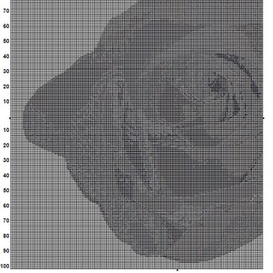 May include: A black and white pixel art pattern of a rose, with the text "Rainbow Rose 1" at the top of the image.