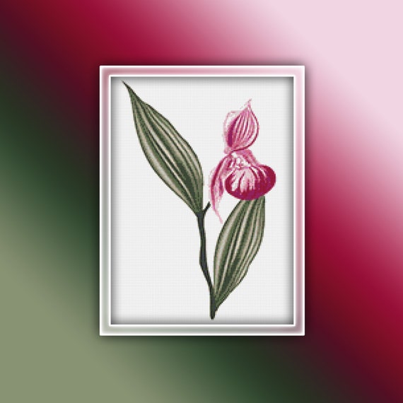 Orchid Cross Stitch Pattern 10 Instant PDF Download Flowers - Etsy