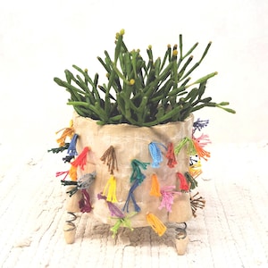 Puede incluir: Una maceta beige texturizada con borlas coloridas y una planta verde. La maceta tiene forma cilíndrica y está sostenida por tres patas de madera con muelles metálicos. La planta tiene tallos verdes finos y pequeños capullos amarillos.