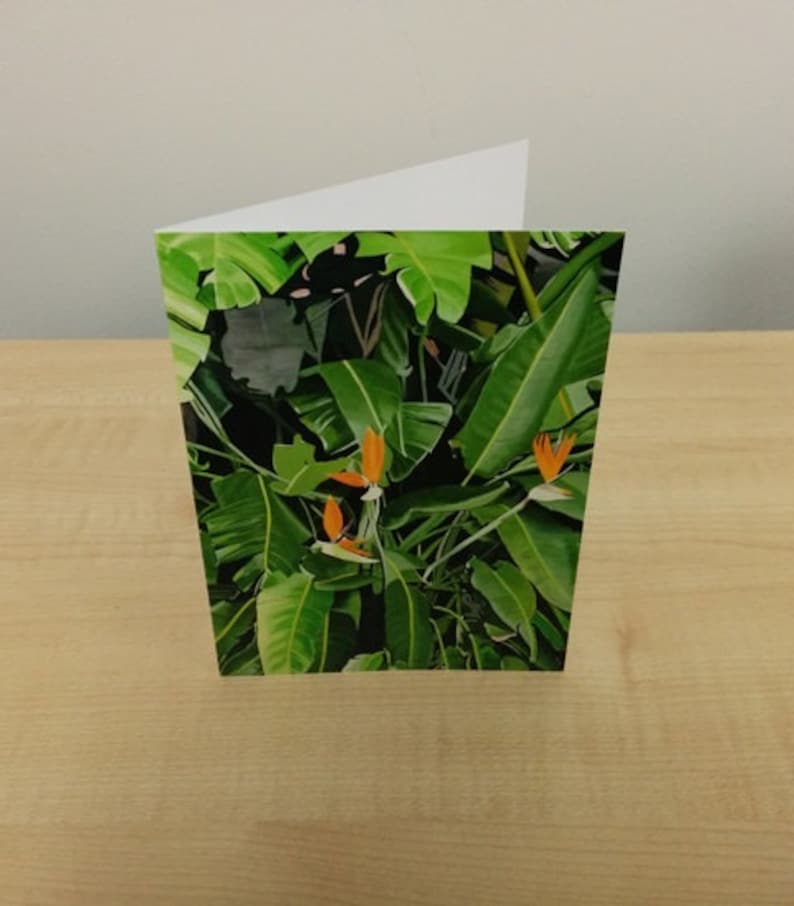 Gift Card Bird of Pardise Flowers