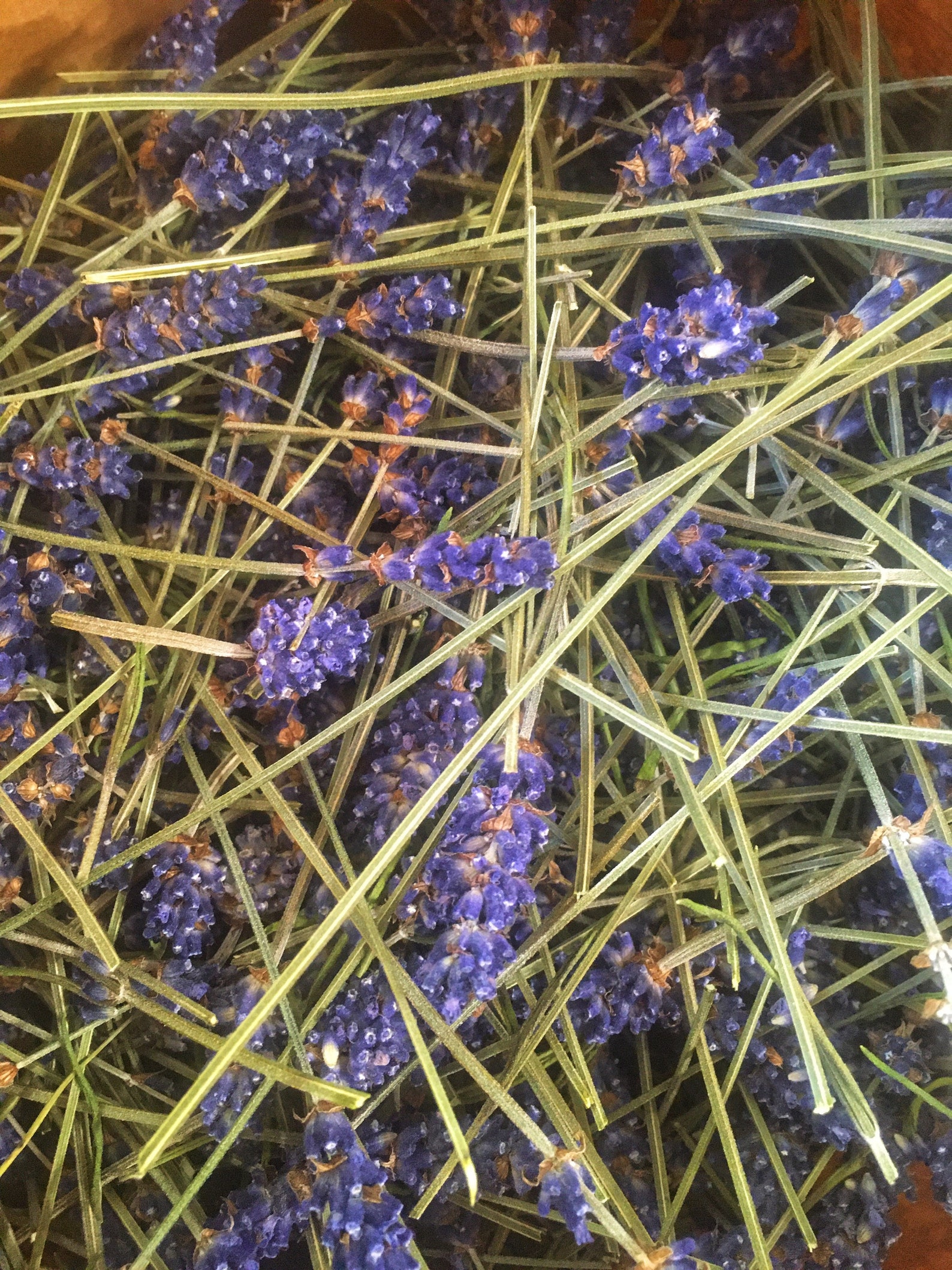 Refill BOTANICAL FACIAL STEAM Open Pores Detox Hydrate Etsy