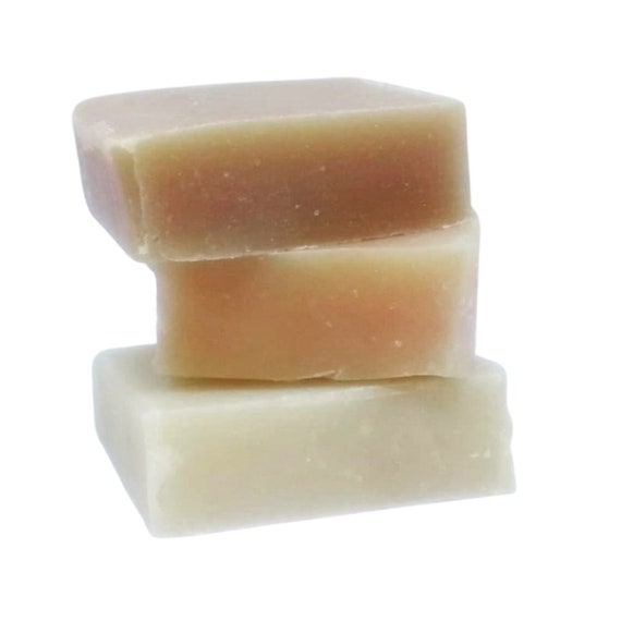 Shampoo Bar Sample Set 3 Bars Soap Samples Rosemary Mint Etsy