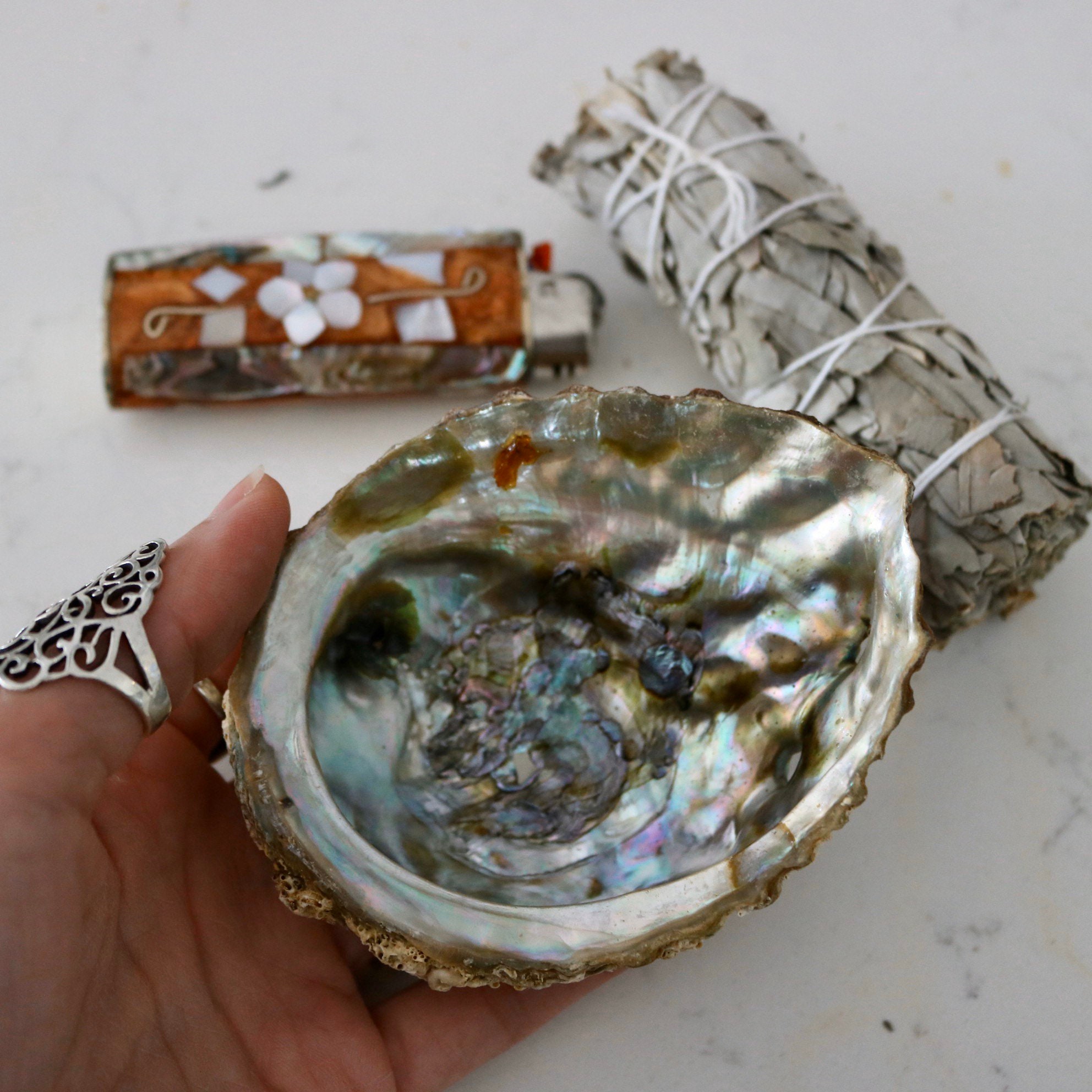Abalone Shell Dish With Natural Feather Abalone Smudge Kit Etsy