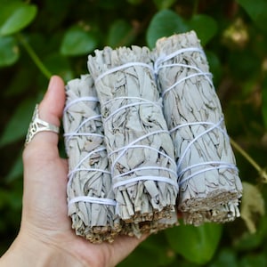 1, 3, 20 or 50 Wholesale White Sage smudge sticks for peace and Protection, Sage Bundle Bulk WHOLESALE, Dried white Sage Smudge Bundle