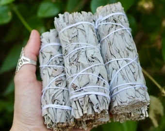 1, 3, 20 or 50 Wholesale White Sage smudge sticks for peace and Protection, Sage Bundle Bulk WHOLESALE, Dried white Sage Smudge Bundle