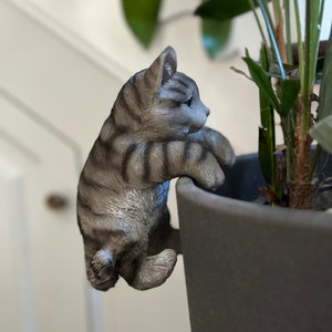 Large Tabby Cat Hanger