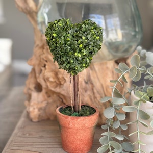 Topiary Love Heart in Terracotta Pot image 1