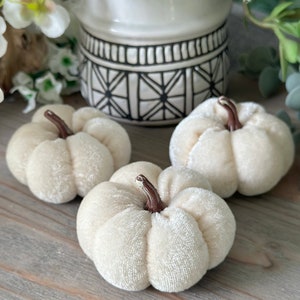 A charming set of 3 Ivory velvet pumpkins