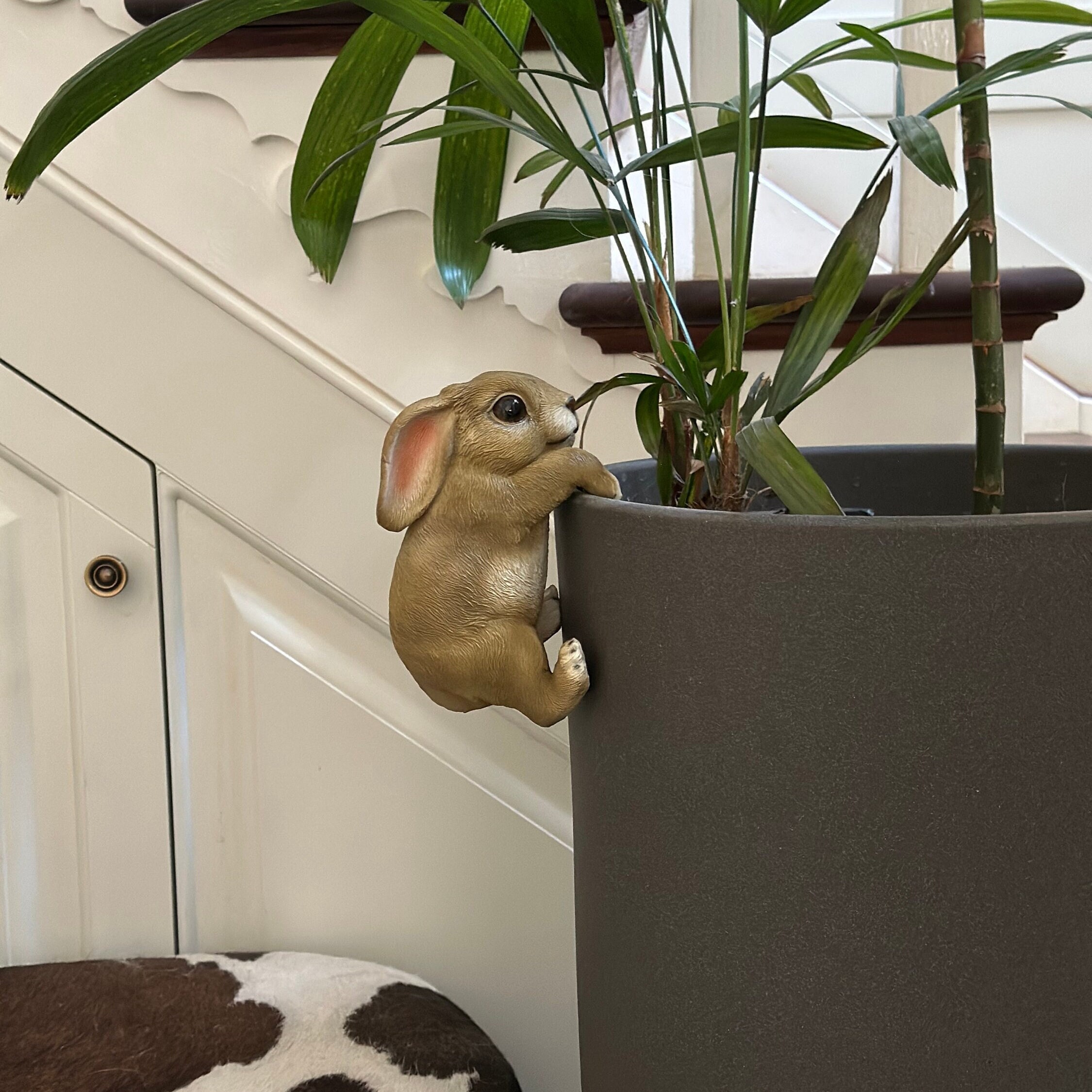 Beatrix Potter, Flopsy Bunny Peter Rabbit Pot Buddy, Pot Hanger, Rabbit  Decor, Gift Boxed, Garden Gifts, Garden Decor, Plant Pot Decor 