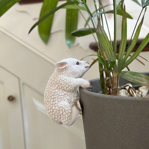 Large White Sheep Pot Hanger