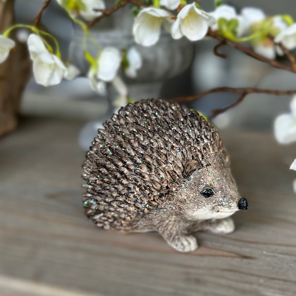 Adorable Little Posed Hedgehog