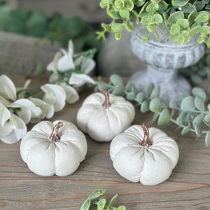 White Linen Pumpkins Set of 3 image 5