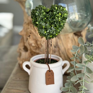 Topiary Love Heart in Terracotta Pot image 3