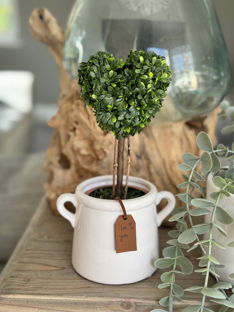 Topiary Love Heart in Terracotta Pot image 3