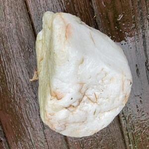 May include: A large, irregularly shaped white rock with subtle tan and pinkish hues. The rock has a smooth, slightly wet appearance, suggesting recent exposure to moisture. The surface shows natural variations and textures.