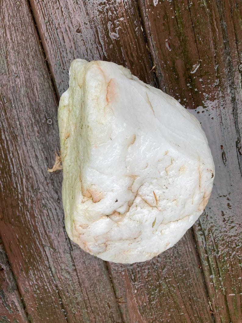 May include: A large, irregularly shaped white rock with subtle tan and pinkish hues. The rock has a smooth, slightly wet appearance, suggesting recent exposure to moisture. The surface shows natural variations and textures.