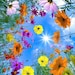 Owner of <a href='https://www.etsy.com/au/shop/DaisiesABlooming?ref=l2-about-shopname&from_page=listing' class='wt-text-link'>DaisiesABlooming</a>