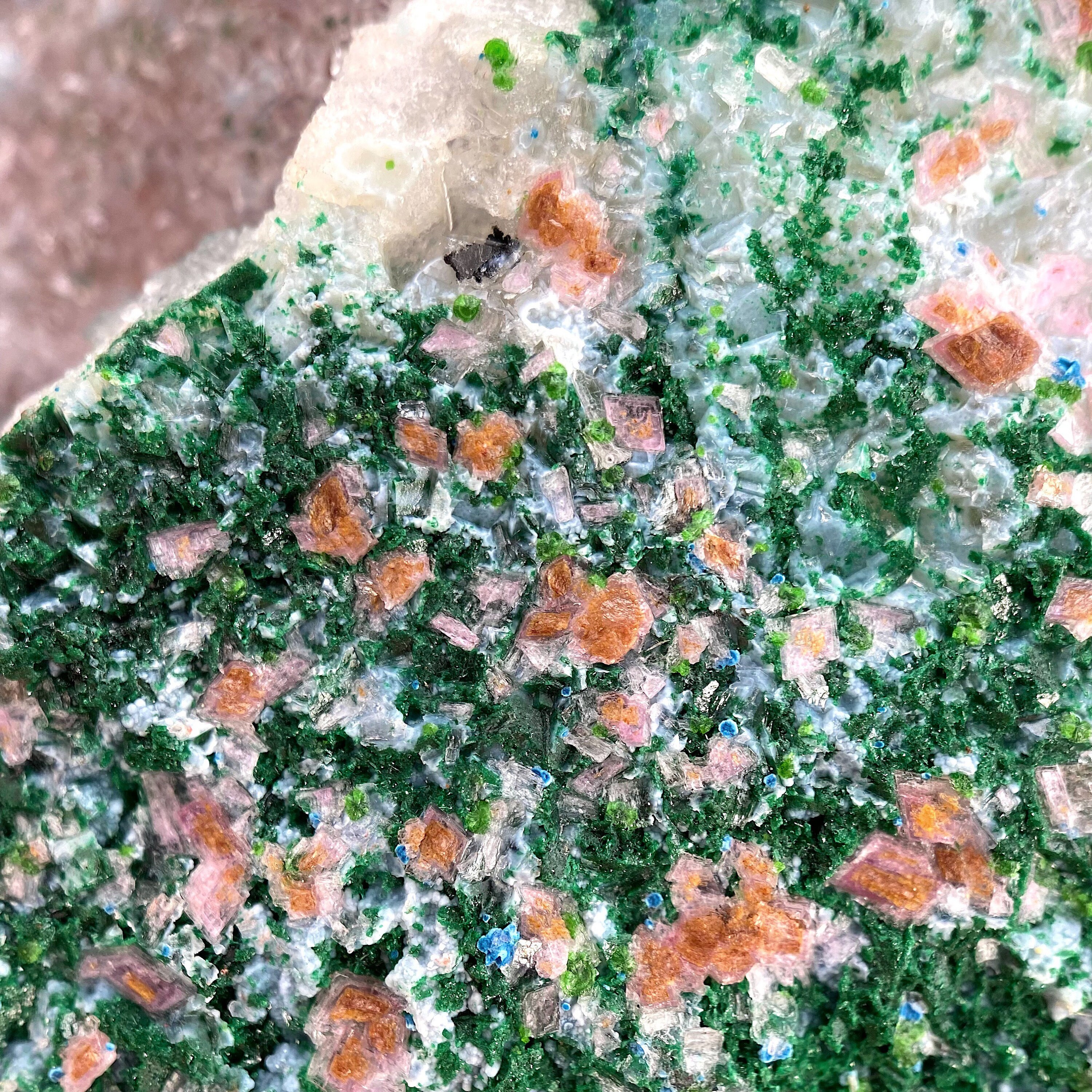 ドゥルージークリソコラ（コバルト方解石とマラカイト入り）｜天然原石