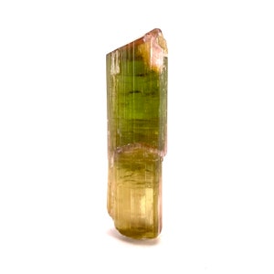 Elbaite Tourmaline (Afghanistan) | natural tourmaline, green tourmaline, tourmaline crystal, bi color tourmaline