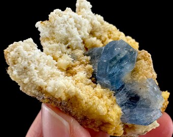 May include: A close-up of a mineral specimen featuring a cluster of light blue crystals. The crystals are set against a backdrop of beige and off-white mineral formations, creating a striking contrast. The background is black.