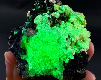 UV Reactive Hyalite Opal on Black Tourmaline | Fluorescent Mineral Specimen from Namibia