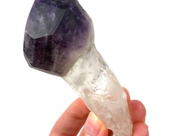 シトリンファントムアメジスト シトリン含有のファントムアメジストセプター - 高品質 (0.8 ポンド