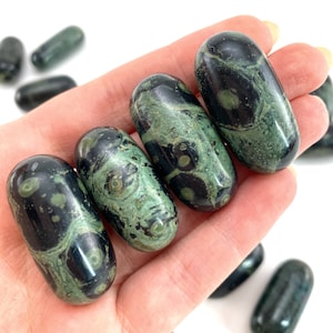 Kambaba Jasper Polished Stone | tumbled Kambaba jasper, Kambaba jasper palm stone, pocket stone, tumbled stones, tumbled crystals, lingam
