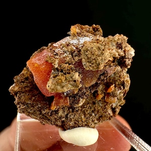 Raw Orange Wulfenite Specimen | Arizona Mineral (1.8 x 1.6 Cm)