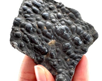 Op de afbeelding: Een donkergrijze mineraalsteen met een bubbelige, getextureerde oppervlakte. De steen heeft een ruwe, ongelijke uitstraling met afgeronde uitsteeksels. De kleur is een diep, houtskoolgrijs en de algemene vorm is onregelmatig.