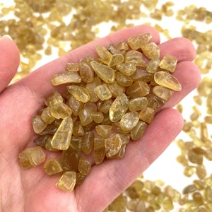 20g Golden Quartz Mini Trommelsteine | Kristallsplitter