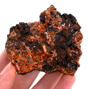 Raw Crocoite Specimen | Orange Crystal Mineral from Tasmania, Australia