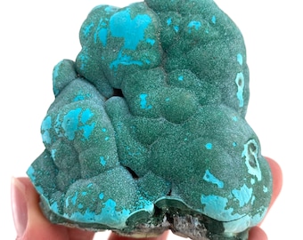 Botryoidal Chrysocolla on Malachite Specimen (Congo), raw chrysocolla, raw malachite, mineral specimen