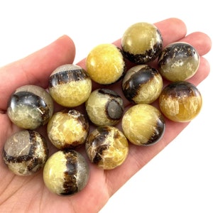 Septarian Sphere | Dragon Stone Crystal Ball (19-20mm)