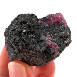 May include: A rough, dark grey rock with several bright pink ruby crystals embedded in it.