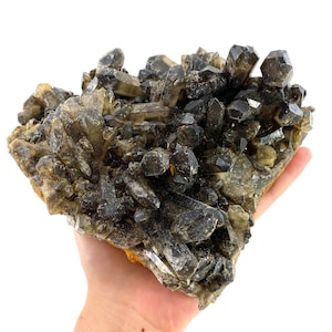 XL Rauchquarz Cluster | Rohkristall Traube (15 x 13 cm)