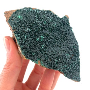 Botryoidal Malachite Specimen, natural malachite, raw malachite, crystals